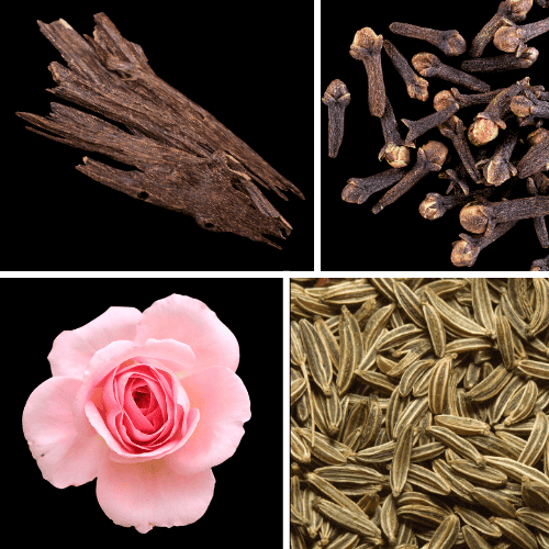 Duftnoten: Oud, Nelke, Rose; Kreuzümmel